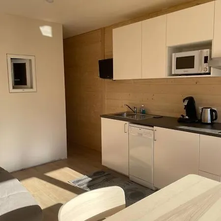 Apartment Deux Alpes Pied Des Pistes