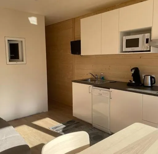 Apartment Deux Alpes Pied Des Pistes